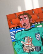 David Seaman - England